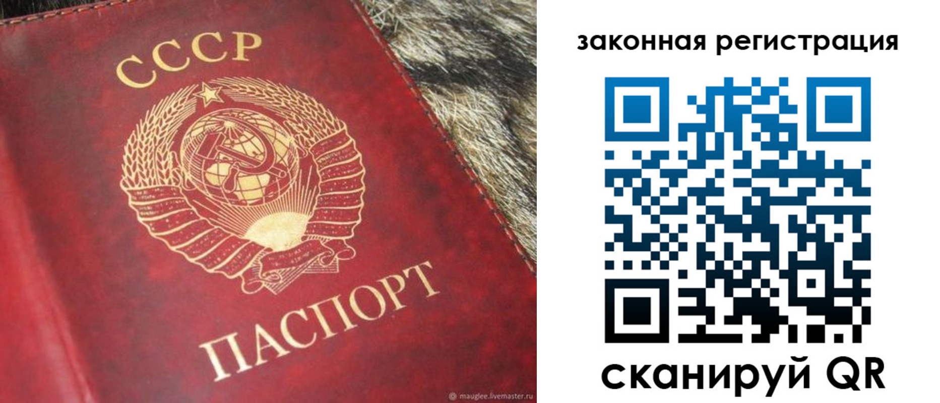 прописка от собственника в Боготоле